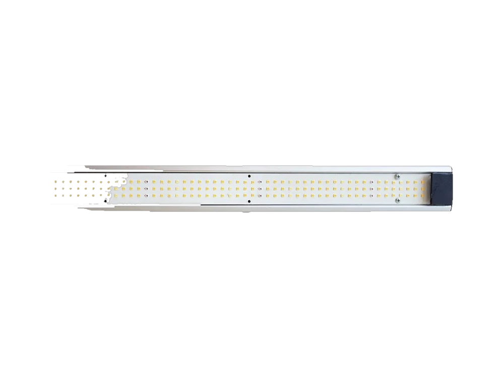 ALKAN® Pureled Sera Luminaire